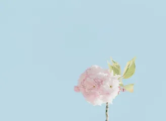 江南体育